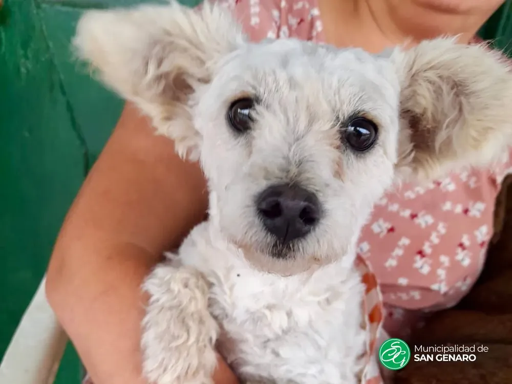 4bff8e1f-119c-4922-a40e-b7af252032ac